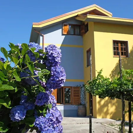 Villa Elisa-2